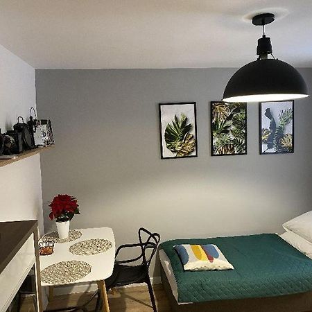 Apartamenty Blogi Sen Ii- Komfortowy Nocleg W Spokojnej Lokalizacji Zabrze Exterior photo