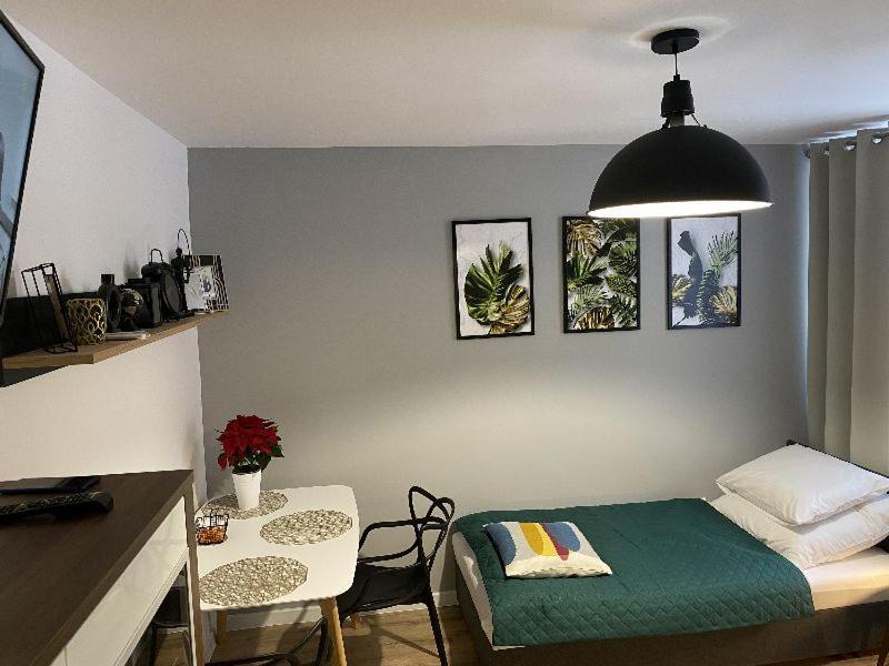 Apartamenty Blogi Sen Ii- Komfortowy Nocleg W Spokojnej Lokalizacji Zabrze Exterior photo